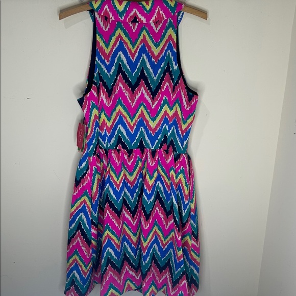 NWT Lilly Pulitzer Sherlynn Hearts A Flutter Multi Color Chevron Striped Dress 8 - Picture 4 of 16